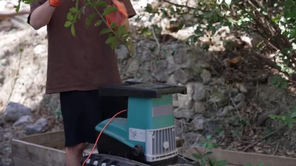 Fazendo Cobertura Casa Usando Triturador Esmagamento Jarda Resíduos Jardim Imagens — Vídeo de Stock