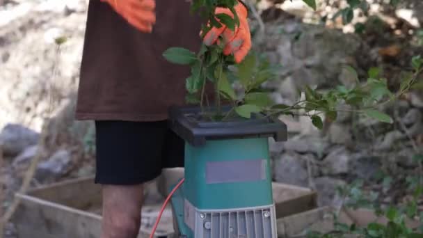 Trituradora Jardín Astilladora Madera Para Triturar Esquejes Árboles Arbustos Imágenes — Vídeos de Stock