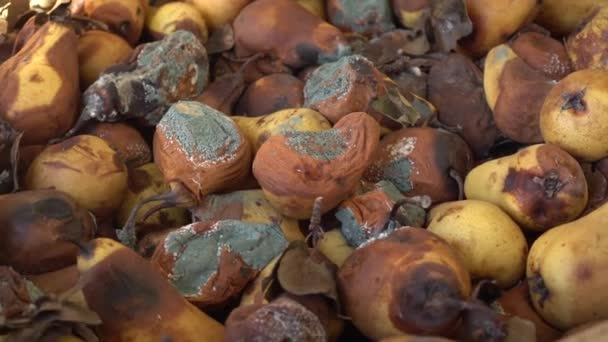 Kompostierung Ist Eine Leistungsstarke Methode Lebensmittelabfälle Recyceln Hochwertiges Filmmaterial — Stockvideo
