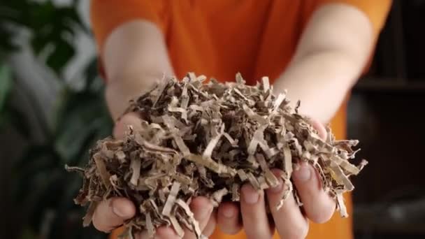 Darált Karton Komposzthoz Féregoszlophoz Vagy Talajtakaróhoz Kiváló Minőségű Felvételek — Stock videók