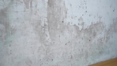 Duvarlardaki siyah küf. Küf ve Cesaret. Yüksek kalite 4k görüntü
