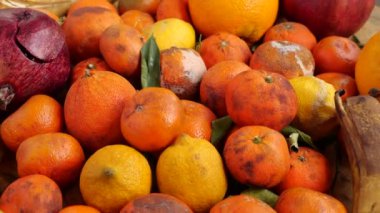 Çürümüş portakal, mandalina, nar, greyfurt. Yüksek kalite 4k görüntü