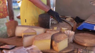 Peynir tatma. Market tezgahında zanaatkar peyniri. Aile çiftliği. Yüksek kalite 4k görüntü
