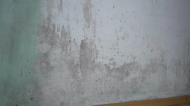Evde küf var. Küf sporları nemli duvarlara çarpınca duvarlardaki küf gelişir. Yüksek kalite 4k görüntü