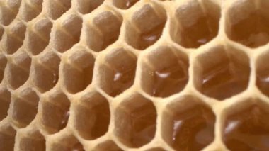 Balmumu makronun balmumu hücreleri. Bal peteğinde çiğ organik bal. Nectar 'dan Honey' e. Yüksek kalite 4k görüntü
