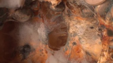 Çürüyen Cadılar Bayramı balkabakları atılır. Yiyecek atıkları. Yüksek kalite 4k görüntü