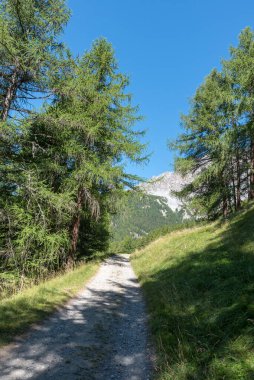 Güney Tyrol İtalya 'daki dağ yolu