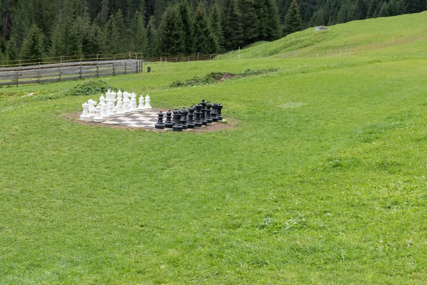 Big Chess Grass — Fotografie, imagine de stoc