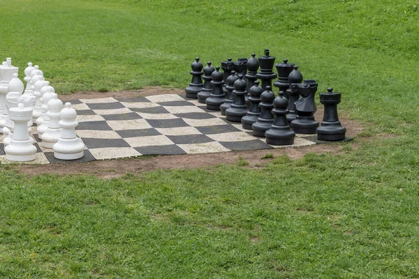 Big Chess Grass — стоковое фото