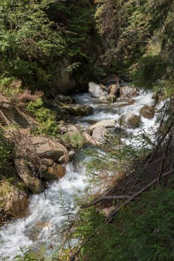 Elma ağacı Val Venosta, Güney Tyrol İtalya