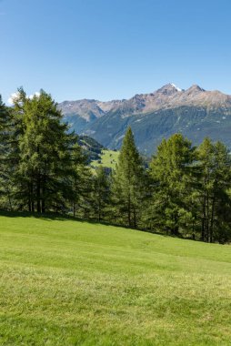 Güney Tyrol İtalya 'daki dağ yolu