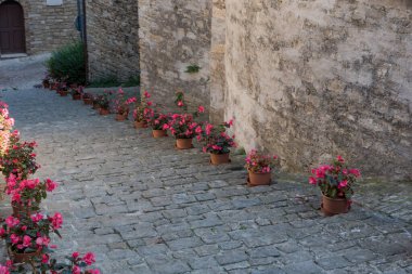 Cingoli Köyü İtalya Marşı