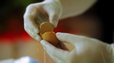 Broken Egg Shell Two Halves. Cooking Ingredients For Baking Sweets Cake For The Holiday. The Pastry Chef Separates The Egg White From The Yolk. 