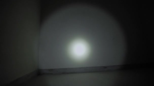 Ein Mann Mit Taschenlampe Geht Die Treppe Hinauf Der Aufzug — Stockvideo