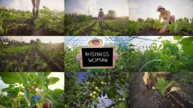 Agribusiness Agriculture Concept. Honey In Hand. Successful Woman, Home Farm. Split Screen Collage Montage Farmer Woman. Farming Field Corn Harvest. 