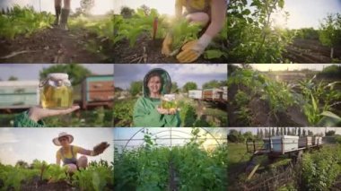 Agribusiness Agriculture Concept. Honey In Hand. Successful Woman, Home Farm. Split Screen Collage Montage Farmer Woman. Farming Field Corn Harvest. 