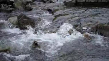 Yumurtlama Mevsimi, Balık Yumurtası. Dişiler ve erkekler yumurtanın döllenmesi, üreme. River Fish Breeding, Çiftleşme Sezonu. Gebelik, yeni bir hayatın doğuşu. Balık Nehri Taşı Suyu Grubu