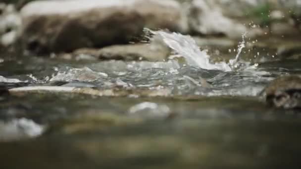 สปา ปลาวางไข เพศหญ งและเพศชาย การปฏ สนธ ของไข การสร การผสมพ ปลาแม — วีดีโอสต็อก