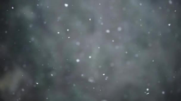 Snow Covered Trees Backdrop Mountain Peaks Serene Peaceful Misty Winter Lizenzfreies Stock-Filmmaterial
