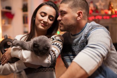 Mutlu erkek arkadaş Noel 'de kedisini tutan kız arkadaşına bakıyor..