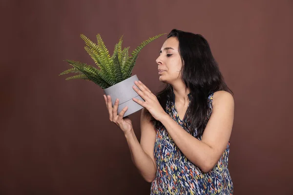 Indiase Vrouw Die Varen Pot Houdt Bladeren Kweekt Kamerplanten Verzorgt — Stockfoto
