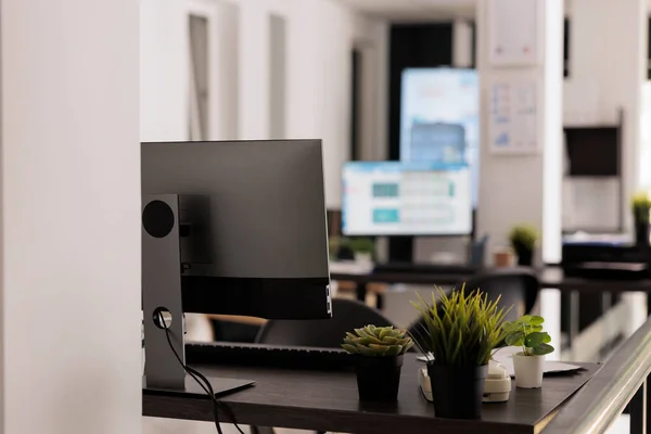 Close View Indoor Plants Part Decoration Modern Coworking Office Unmanned — Stock Photo, Image