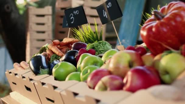 Çiftçi Pazarında Doğal Yetiştirilmiş Ürünler Organik Tarım Tezgahı Var Hasat — Stok video