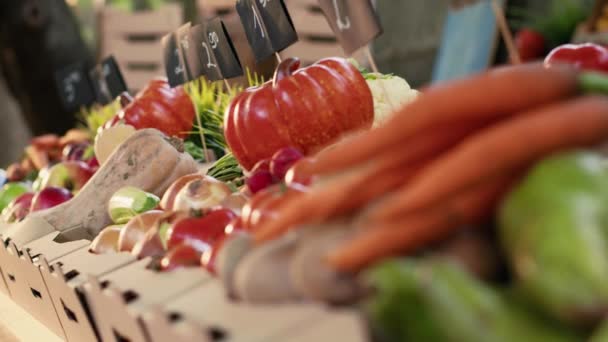 Pudełka Wypełnione Sezonowymi Owocami Warzywami Umieszczonymi Ladzie Świeże Naturalne Produkty — Wideo stockowe