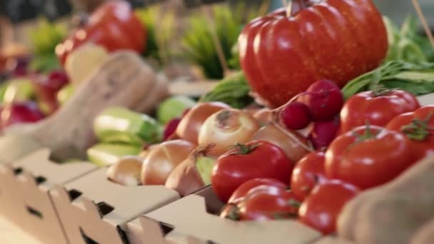 Pequena Loja Negócios Com Frutas Legumes Cultivados Jardim Exposição Mercado — Vídeo de Stock