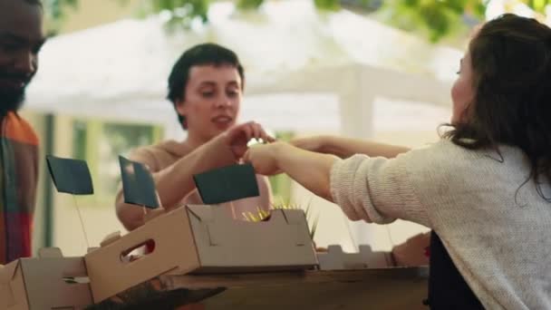 Kobieta Rolnik Daje Darmowe Plasterki Jabłek Dla Klientów Smaku Zróżnicowanych — Wideo stockowe