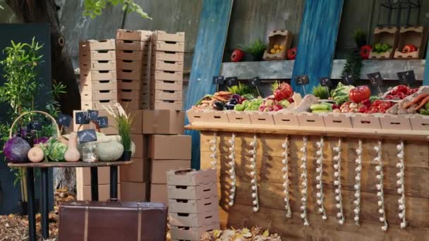 Осінній Ярмарок Урожаю Фермерами Стоїть Продажу Свіжих Продуктів Порожній Зелений — стокове відео