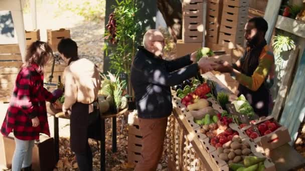 Consumidor Sênior Comprando Frutas Biológicas Locais Coloridas Legumes Stand Mercado — Vídeo de Stock