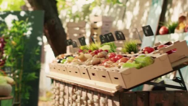 Équipe Vendeurs Vendant Des Produits Écologiques Cultivés Localement Diverses Personnes — Video