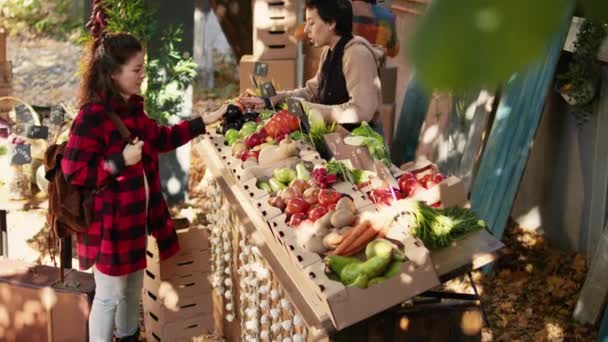 快乐的店主向顾客出售生物有机苹果 站在农产品柜台后面 向消费者展示水果和蔬菜的当地农民 健康的营养 — 图库视频影像