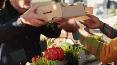 Çiftçi pazarından organik biyolojik ürünlerle dolu bir kutu alan yaşlı insan, sağlıklı beslenme. Erkek satıcı, doğal meyve ve sebze veriyor. El kamerasıyla..