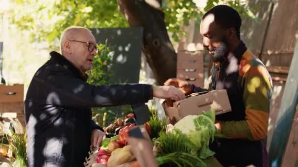 Starsza Osoba Dorosła Kupuje Kolorowe Świeże Owoce Warzywa Ekologiczne Targach — Wideo stockowe