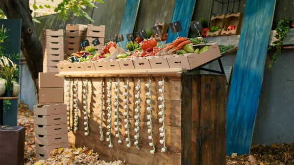 有机小商业柜台配以五彩缤纷的生物制品 健康的天然土生土长的农产品 在新鲜的农民市场上出售的生态番茄 胡萝卜或土豆 — 图库照片