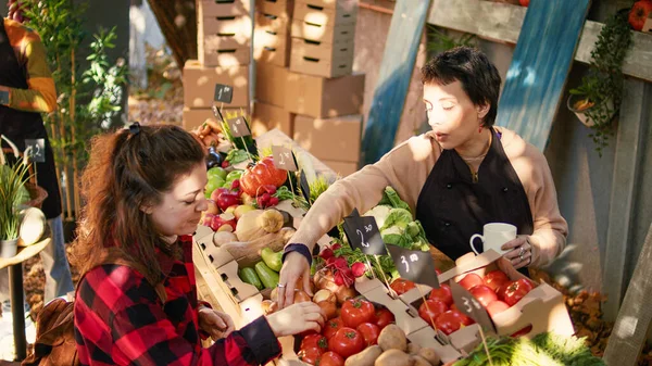 Cheerful Women Talking Locally Grown Produce Client Buying Natural Fruits — 스톡 사진