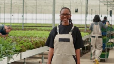 Modern serada gülümseyen bir kadının portresi. İşçiler bitkilerle ilgileniyor ve hasat edilen mahsullerle sandıklar açıyor. Afro-Amerikan tarım işçisi organik sebze çiftliğinde mutlu poz veriyor..
