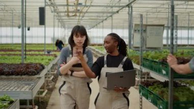 Diverse greenhouse workers using laptop computer for agricultural planning for growing organic vegetables in hydroponic enviroment. Two women walking and talking about online orders for lettuce.