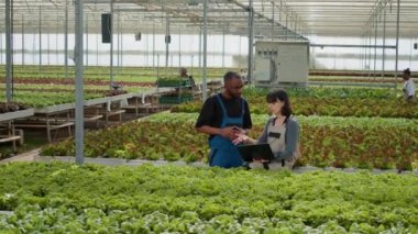 Diverse greenhouse workers using laptop to manage online orders for harvested crops while coworkers move crates for delivery. Man and woman using portable computer talking about harvesting lettuce.
