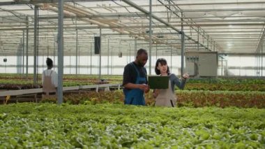 Two diverse farm workers using laptop with agricultural management software and pointing at rows with organic crops in greenhouse. Man and woman holding portable computer planning harvesting campaign.