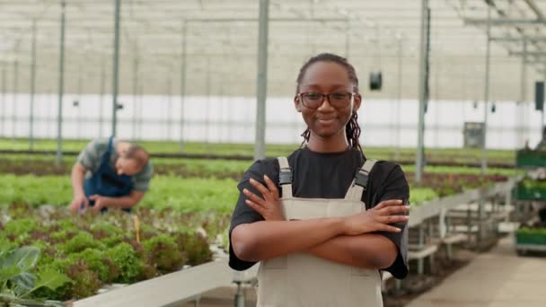 Портрет Усміхненої Жінки Тримає Руки Схрещений Сучасному Оранжереї Рядами Органічних — стокове відео