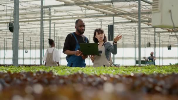 Dva Různí Pracovníci Ekologického Zemědělství Kteří Používají Notebook Softwarem Pro — Stock video
