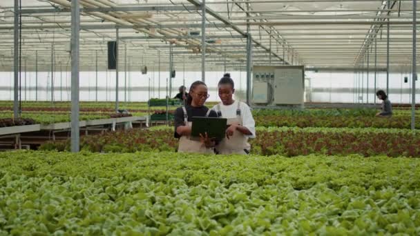 Two African American Women Holding Laptop Manage Online Orders Harvested — Stockvideo