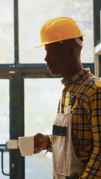 Vídeo Vertical Trabajador Almacén Afroamericano Posando Cerca Estantes Llenos Productos — Vídeos de Stock