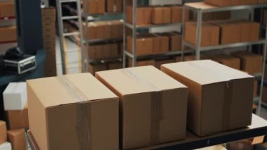 Storage room space filled with carton packages on shelves and racks, empty warehouse used to ship merchandise orders. Storehouse with products, distribution and shipping retail work.