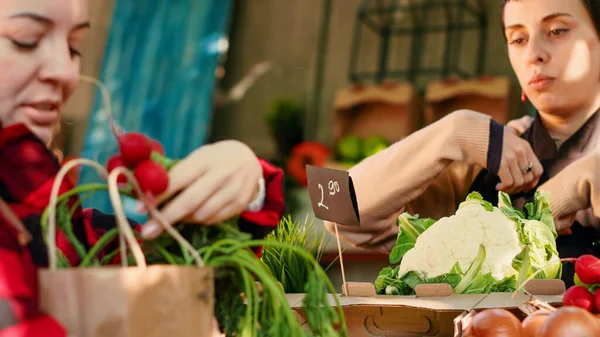 Farmer Giving Seasonal Produce Vegetarian Adult Selling Locally Grown Eco — Stock Photo, Image