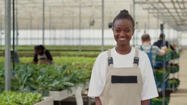 Portrait of african american woman posing happy in organic crops and vegetables farm while diverse workers push crates with crops. Smiling farm worker in greenhouse standing in hydroponic enviroment.