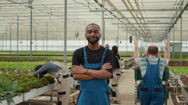 Portrait Smiling African American Man Modern Greenhouse Workers Pushing Crates — Vídeo de stock